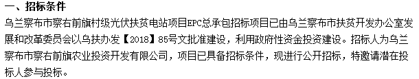 项目EPC总承包招标